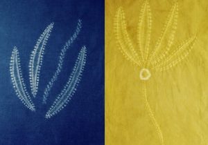 Blue and gold colour seaweed designs in shibori stitch