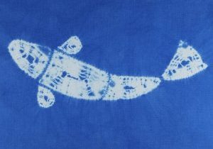 shibori koi carp featured image