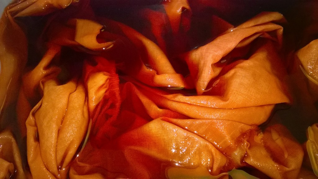 Dyeing Shibori with Fibre Reactive Dyes 9 Fabric in dyebath