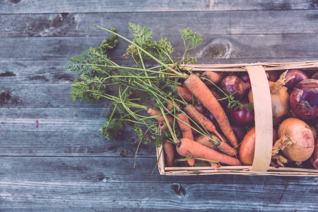 Tie-Dye on Your Plate: Create Some Shibori Vegetables 9 a basket of vegetables