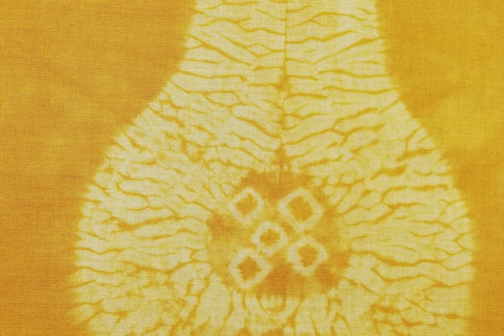Tie-Dye on Your Plate: Create Some Shibori Vegetables 8 shibori butternut squash 2