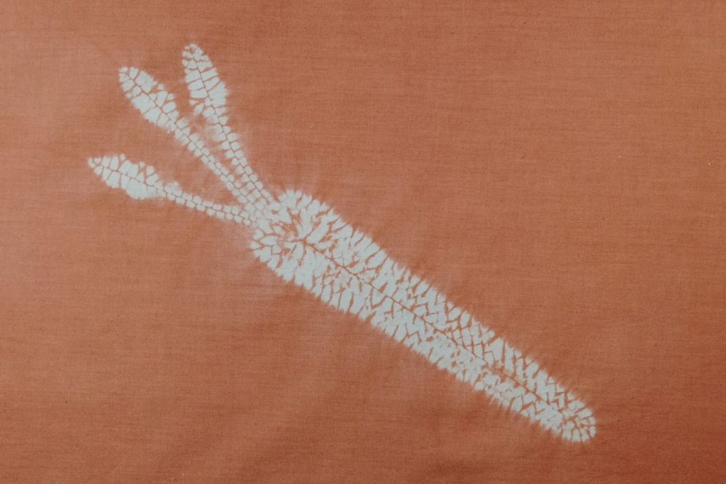 Tie-Dye on Your Plate: Create Some Shibori Vegetables 2 A white shibori pattern vegetable, a carrot, on an orange background