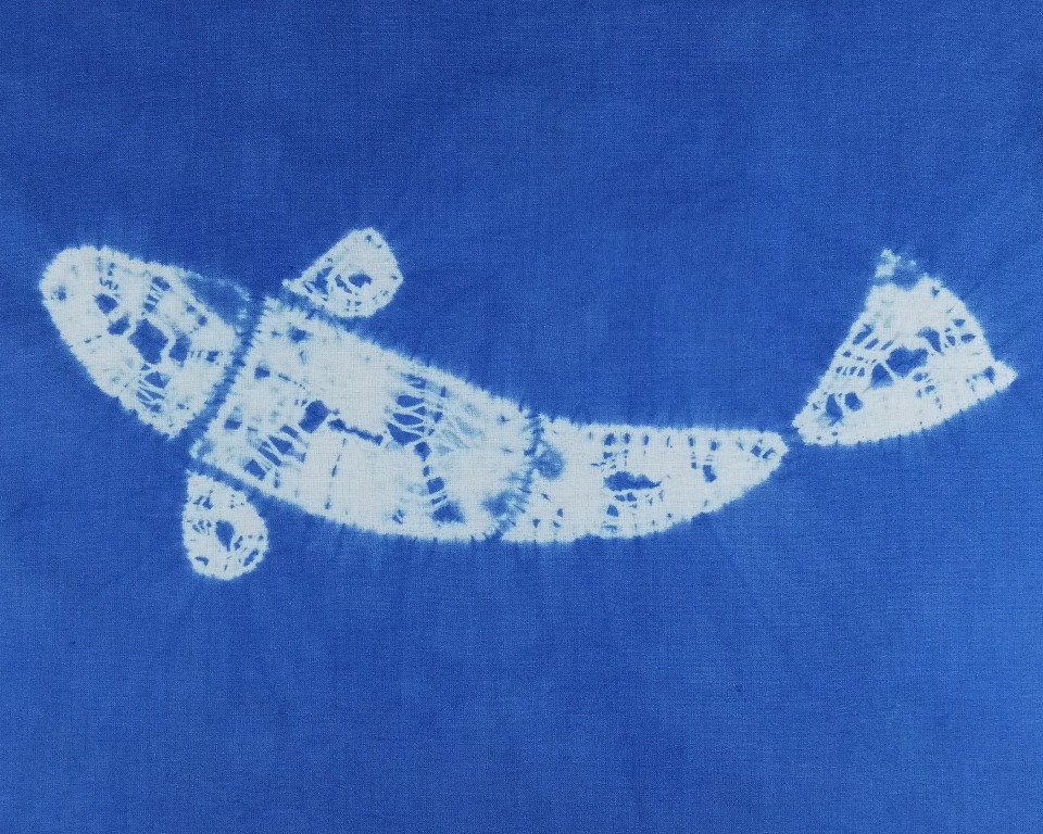 shibori koi carp featured image