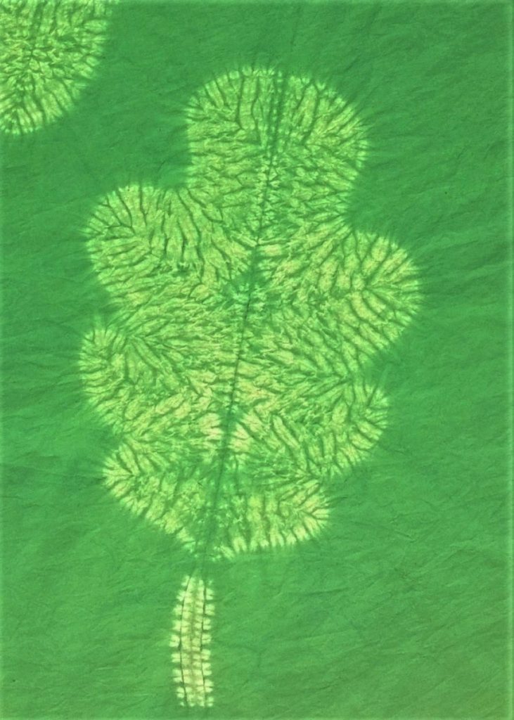 Designing with Miru Shibori 4 Original Ideas to Inspire You. 11 shibori oak leaf