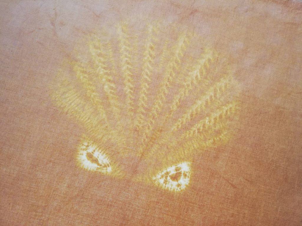 How to Shibori with Natural Dyes 13 shibori scallop shell dyed with onion skin